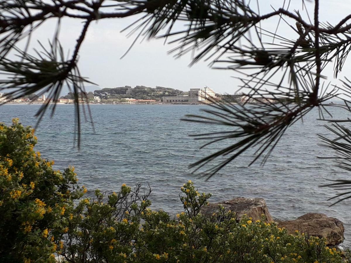 Bandol nature et loisirs: Parking/ Piscine Extérieur photo